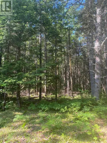 Lot PID60493061 Huey Lake Road, Mount Pleasant, Nova Scotia B0R1G0