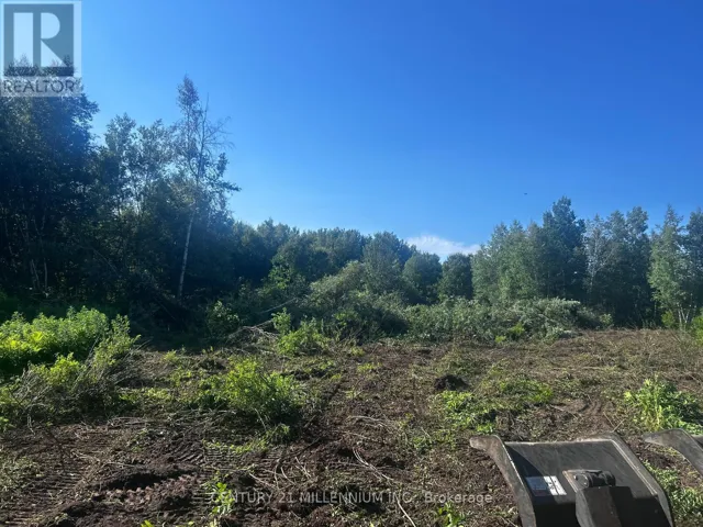 LOT 11 RUE CHATELAIN STREET, Alfred and Plantagenet, Ontario K0B1A0