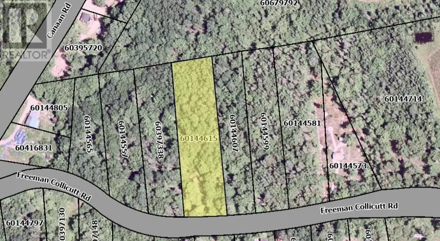 41 Freeman Collicutt Road, Canaan, Nova Scotia B0J1J0