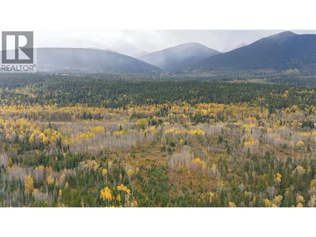 DL 7054 W 16 HIGHWAY, McBride, British Columbia V0J2E0