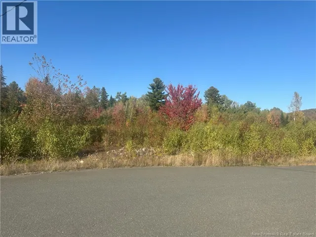 Lot 10-04 Crain Court, Bulls Creek, New Brunswick E7N0B1
