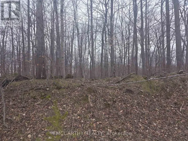 LOT 9 PT LT 25, West Grey, Ontario N0C1H0