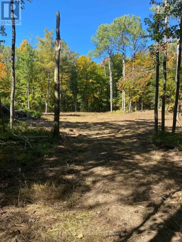 1248 BEIERS ROAD, Gravenhurst (Morrison), Ontario P0E1G0