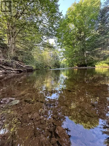 Ripley Road, Williamsdale, Nova Scotia B0M1E0