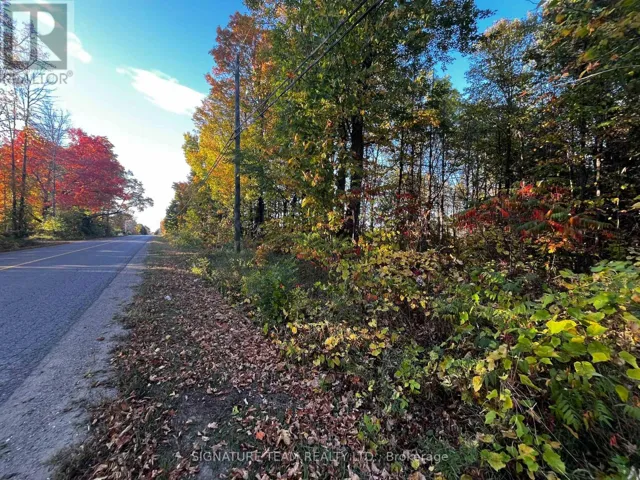 LOT 0 BELLAMY ROAD, McNab/Braeside, Ontario K0A3L0