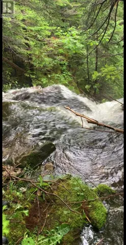 0 Loretto Road, Marches Point, Newfoundland & Labrador A0N1T1