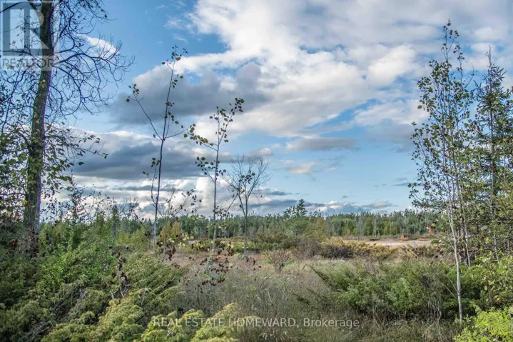LOT 254 MCGUIRE BEACH ROAD, Kawartha Lakes (Carden), Ontario K0M2B0