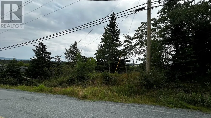 177 Bauline Line, Torbay, Newfoundland & Labrador A1K1H6
