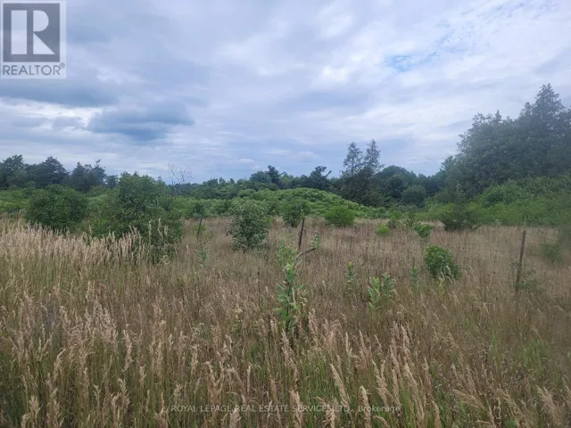 LT27PT2 COUNTY ROAD 10 ROAD, Prince Edward County (South Marysburg Ward), Ontario K0K2T0