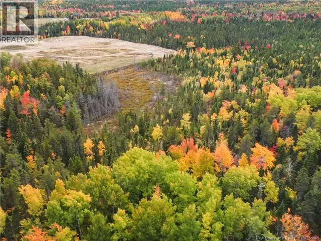 867 Pine Glen Road, Riverview, New Brunswick E1J1R7