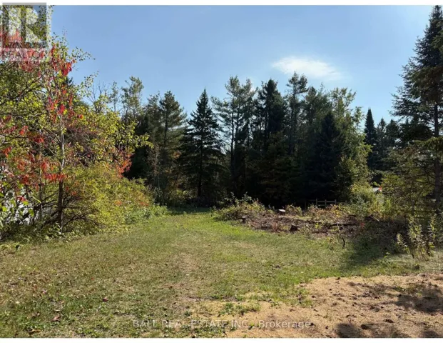 0 THE AVENUE, Kawartha Lakes (Kinmount), Ontario K0M2A0