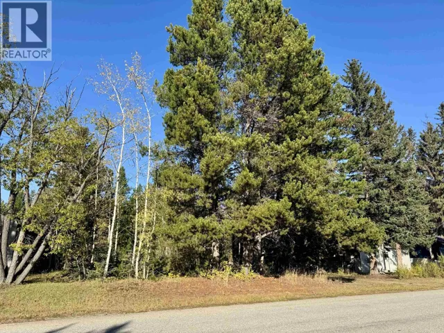 1366 7TH AVENUE, Valemount, British Columbia V0E2Z0
