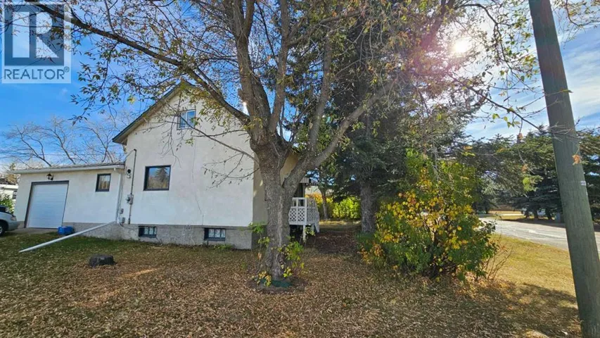 4529 44 Street, Castor, Alberta T0C0X0