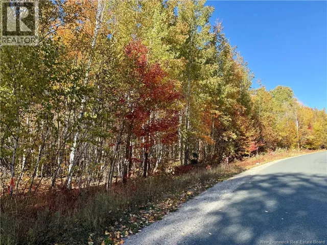 Lot 96-1 Hilltop Road, Hilltop, New Brunswick E9E1R9
