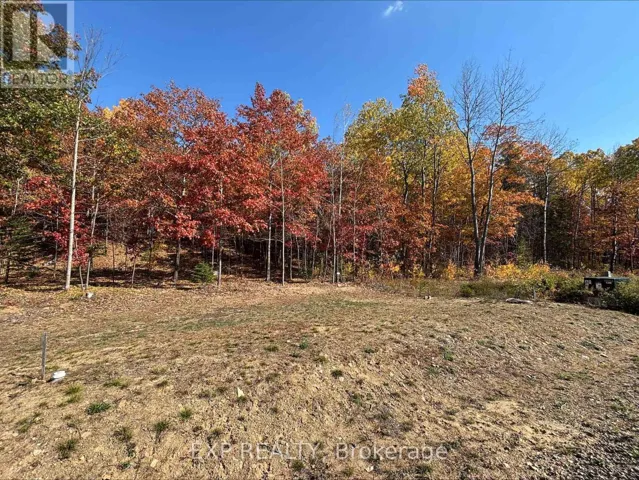 LOT 40, Madawaska Valley, Ontario K0J1B0
