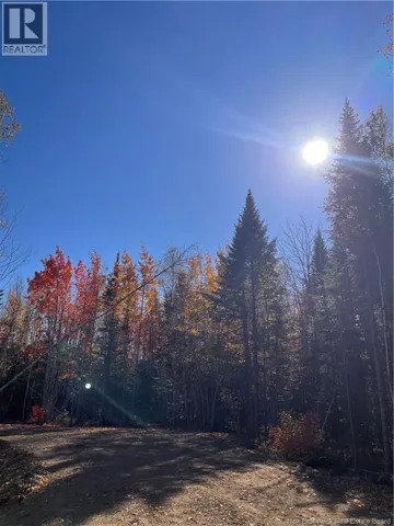 Lot Bells Mills Road, Richibouctou-Village, New Brunswick E4W1B8