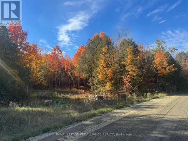 LOT 2 VANSICKLE ROAD N, Havelock-Belmont-Methuen (Belmont-Methuen), Ontario K0L1C0