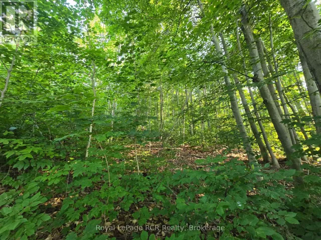 126 OLD HIGHWAY 26 HIGHWAY, Meaford, Ontario N4L1W7