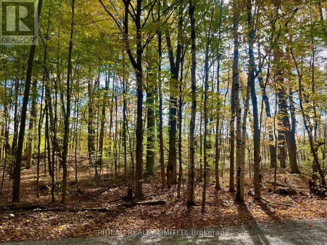 PT 38 CEDAR SANDS ROAD, Rideau Lakes, Ontario K0E1N0