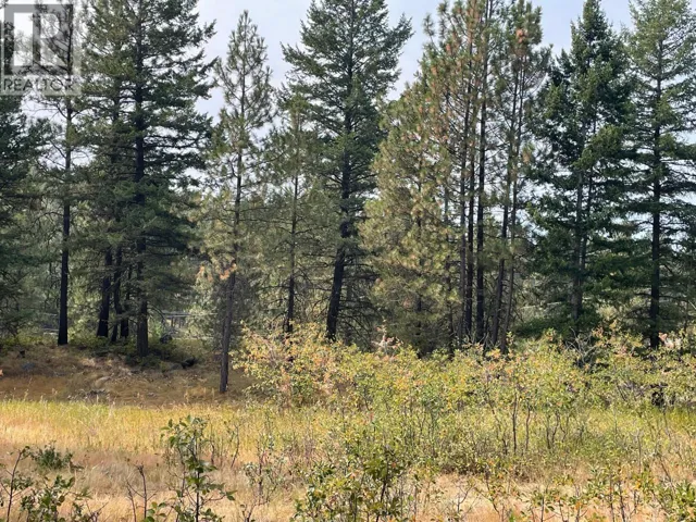 100 COUGAR Court, Osoyoos, British Columbia V0H1V6