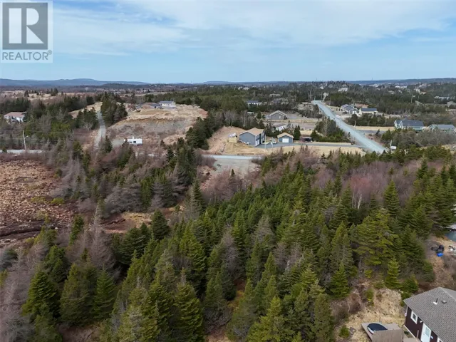 100-102 Cabot Ave Extension, Whitbourne, Newfoundland & Labrador A0B3K0