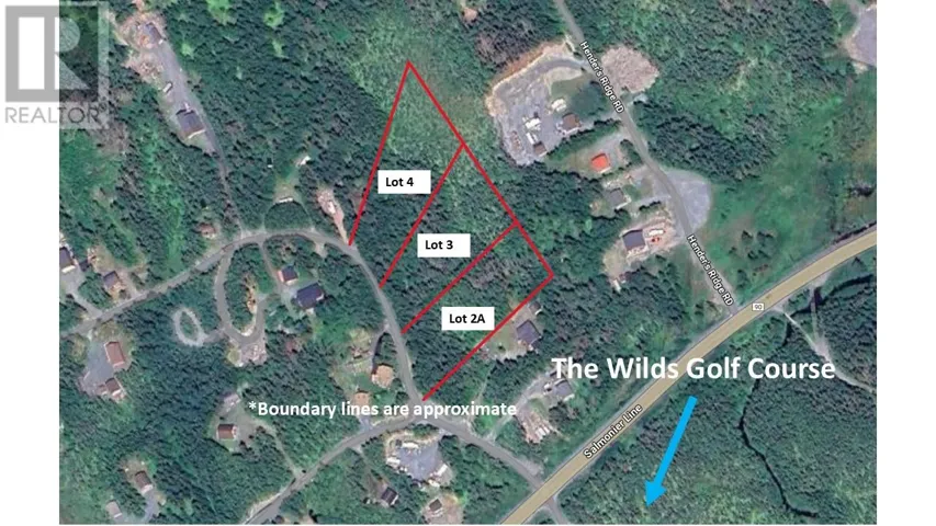 Lot 4 Fraser Sub-Division, Forest Field Area /Salmonier Line, Newfoundland & Labrador A0A2R0