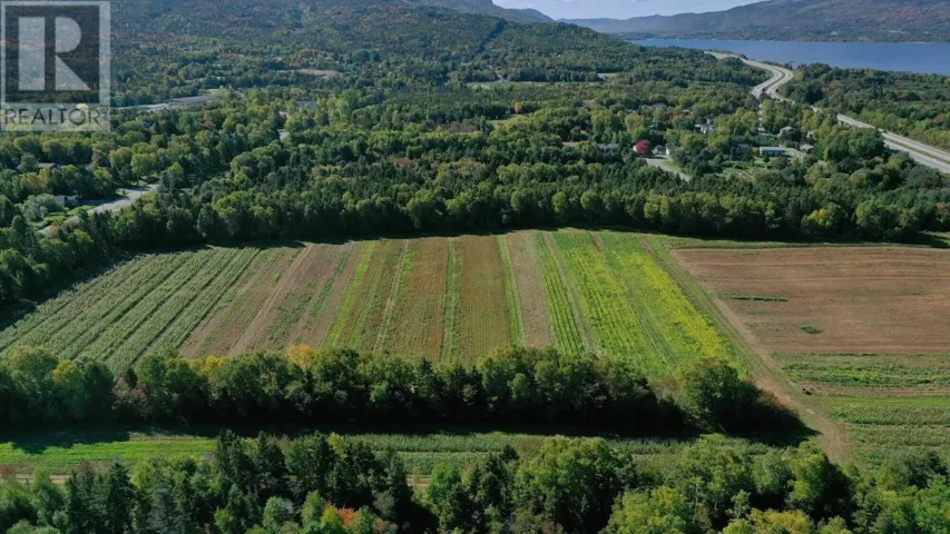 26-62 First Avenue, Pasadena, Newfoundland & Labrador A0L1K0