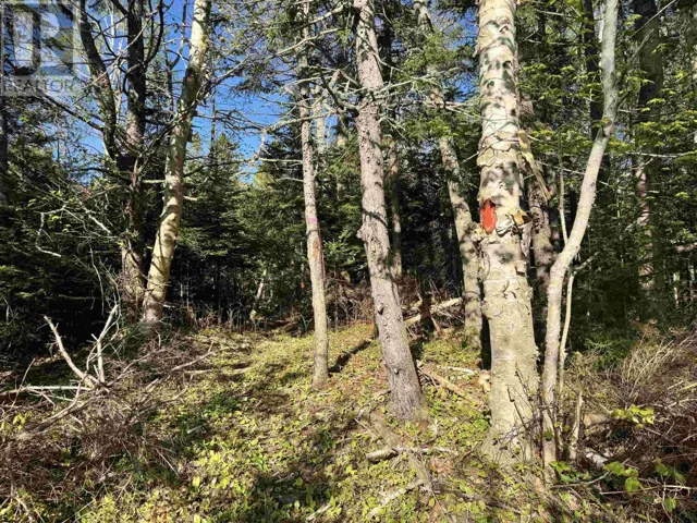 24-1 Forest Drive Extension, Pictou, Nova Scotia B0K1H0