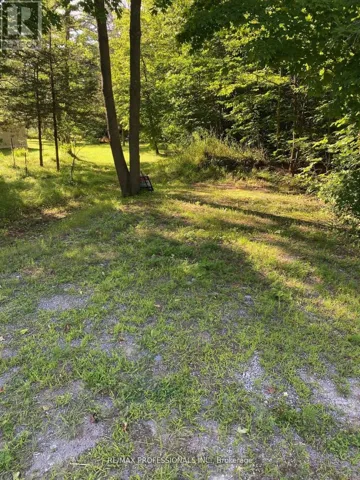 0 11TH LINE E, Trent Hills, Ontario K0K2M0