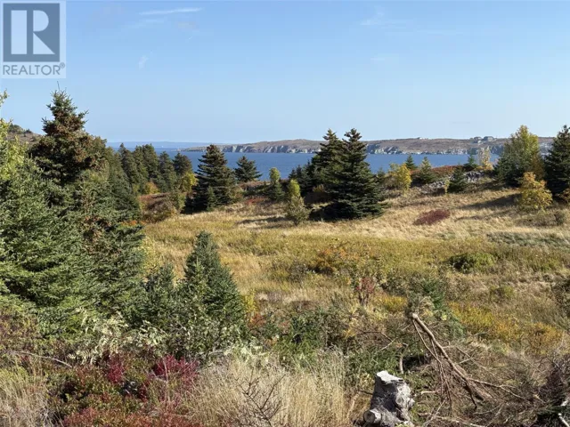 742-744 Water Street, Bay Roberts, Newfoundland & Labrador A0A1G0