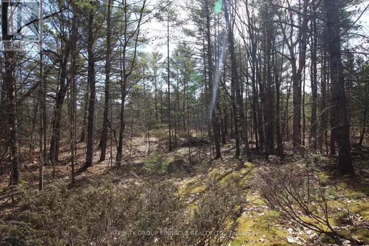 LOT 15 CONCESSION 9, Trent Lakes, Ontario K0L1J0
