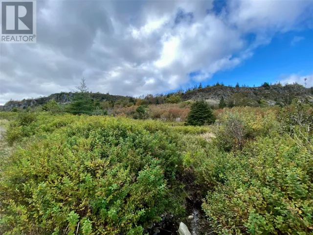 6-8 Old Road N, Salmon Cove, Newfoundland & Labrador A0A3S0