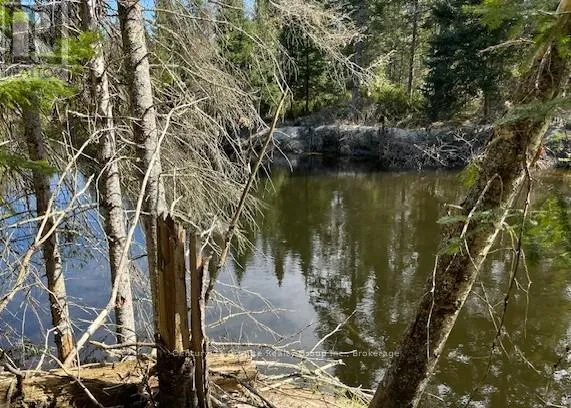 0 COUNTY ROAD 503, Minden Hills (Snowdon), Ontario K0M2A1