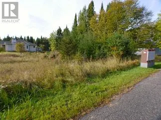 228 SANDY BEACH RD., DRYDEN, Ontario P8N3J6