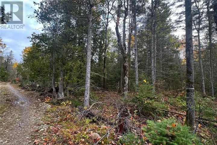PT LT 16 Con 4 Green Bush Road, Little Current, Ontario P0P1K0