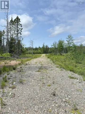 Barren Road, River Denys, Nova Scotia B0E2Y0