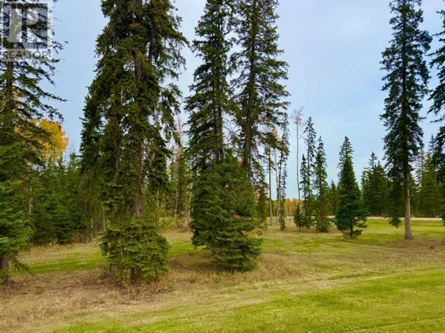 202 Meadow Ponds Drive, Rural Clearwater County, Alberta T4T1A7