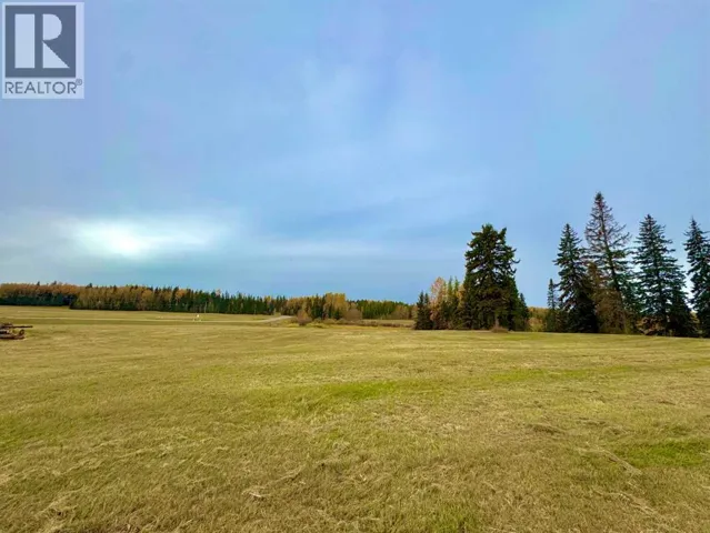 317 Valley View Drive, Rural Clearwater County, Alberta T4T1A7