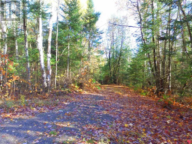 PT LT 2 CON 4 MCFADDEN LINE, Parry Sound Remote Area (Laurier), Ontario P0H2L0