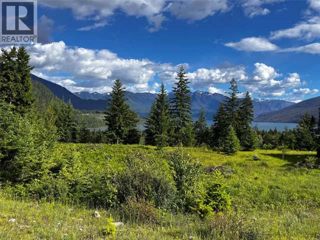 235 Fullmoon Road, Rosebery, British Columbia V0G1S0