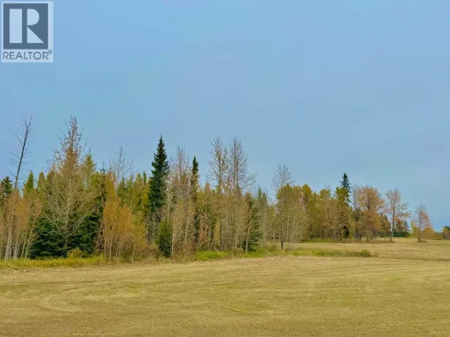 416 Valley View Close, Rural Clearwater County, Alberta T4T1A7