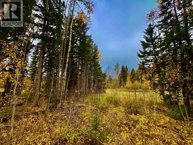 301 Valley View Drive, Rural Clearwater County, Alberta T4T1A7