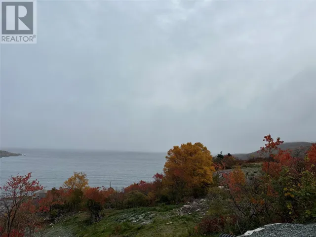 41-45 Motion Bay Road Extension, Petty Harbour- Maddox Cove, Newfoundland & Labrador A0A3H0
