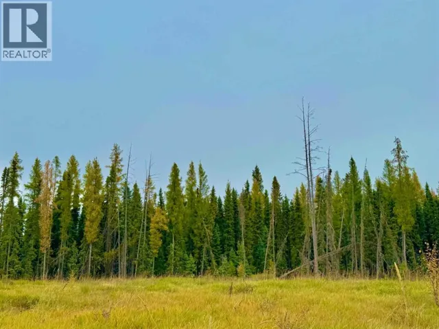 400 Valley View Close, Rural Clearwater County, Alberta T4T1A7