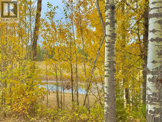 417 Valley View Close, Rural Clearwater County, Alberta T4T1A7