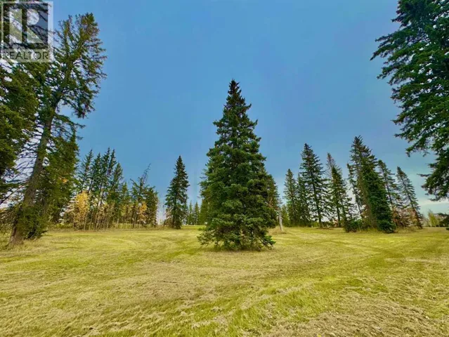 309 Valley View Drive, Rural Clearwater County, Alberta T4T1A7