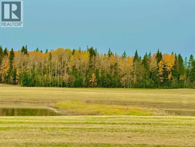 409 Valley View Close, Rural Clearwater County, Alberta T4T1A7