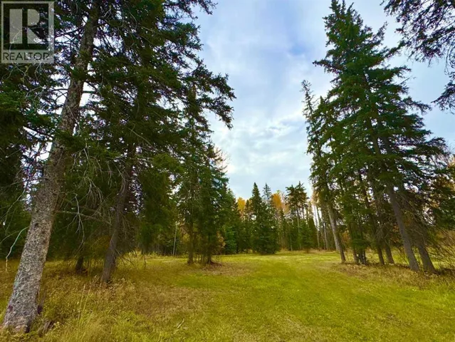 201 High Timber Place, Rural Clearwater County, Alberta T4T1A7
