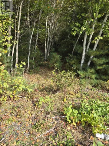 Lot 7 Lower Branch Road, Lower Branch, Nova Scotia B4V4M1