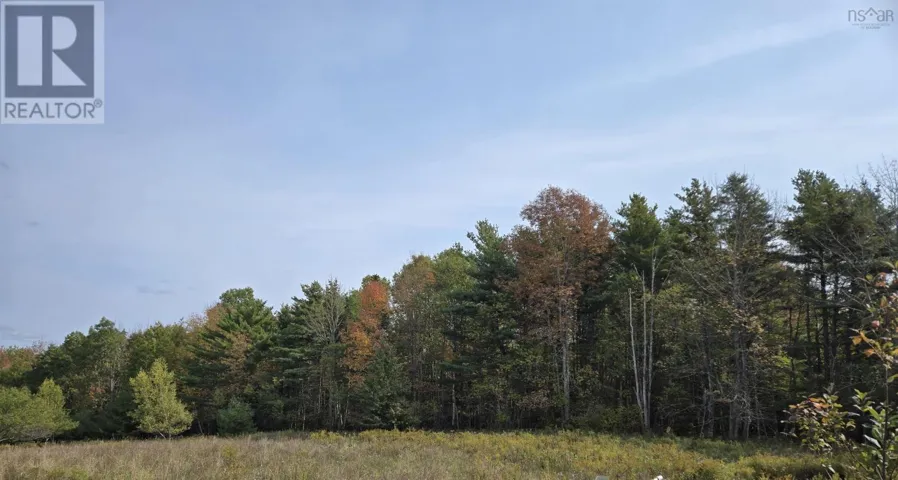 Lot 1A Lower Branch Road, Lower Branch, Nova Scotia B4V4M1